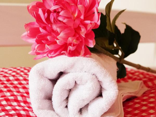 Adventure Hostel Interlaken : photo 9 de la chambre studio