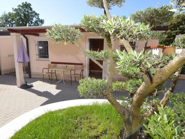 Apartmani Dekovic Materada : photo 4 de la chambre bungalow