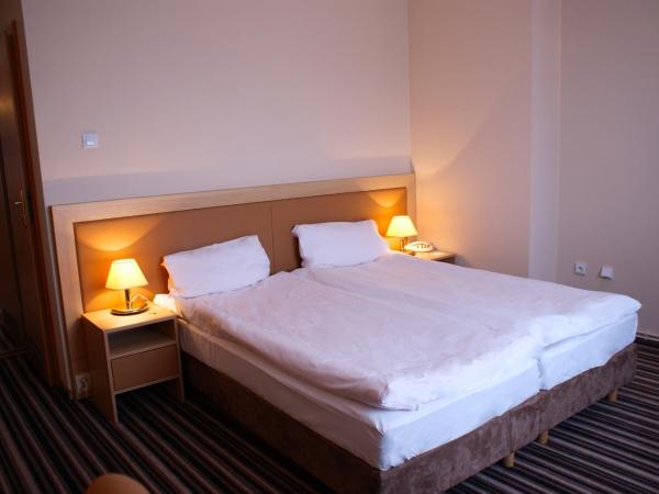 Hotel Julian : photo 2 de la chambre chambre lits jumeaux/double