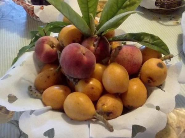 Istentales Alghero : photo 3 de la chambre chambre double avec terrasse
