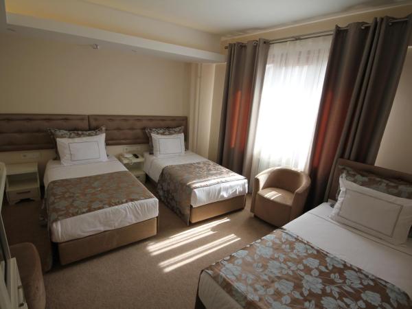 Grand Washington Hotel : photo 4 de la chambre chambre triple standard