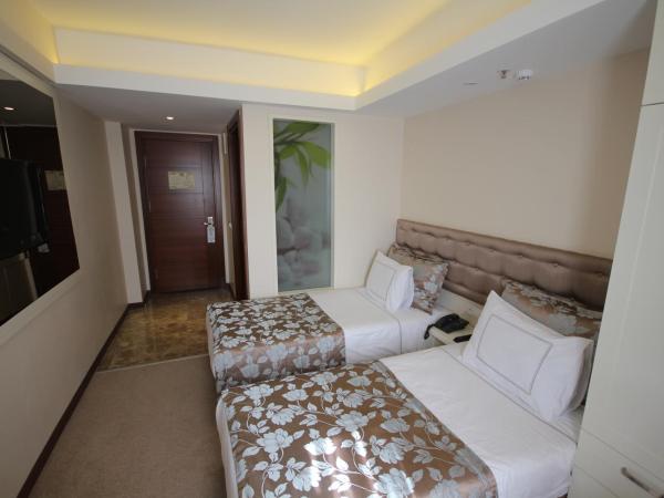 Grand Washington Hotel : photo 6 de la chambre chambre triple standard