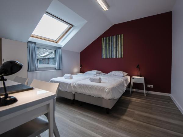 Auberge des 3 Fontaines : photo 1 de la chambre chambre lits jumeaux pour personnes à mobilité réduite