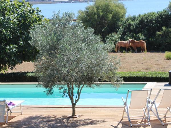 Santa Igia - Country House : photo 9 de la chambre appartement - vue sur piscine 