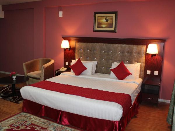 Grand Nova Hotel : photo 9 de la chambre chambre double ou lits jumeaux