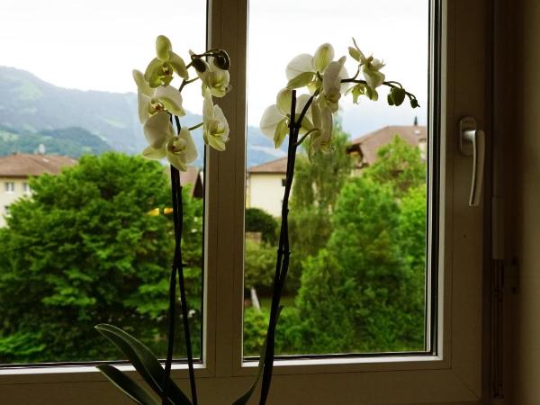 Adventure Hostel Interlaken : photo 8 de la chambre chambre familiale adaptée aux personnes à mobilité réduite