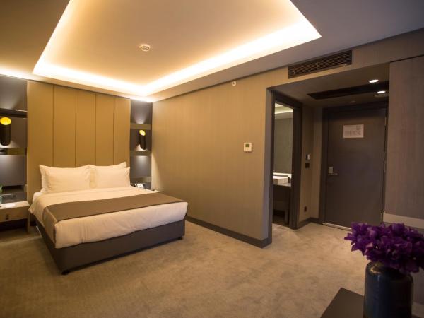 Cityloft 81 : photo 6 de la chambre suite d'angle