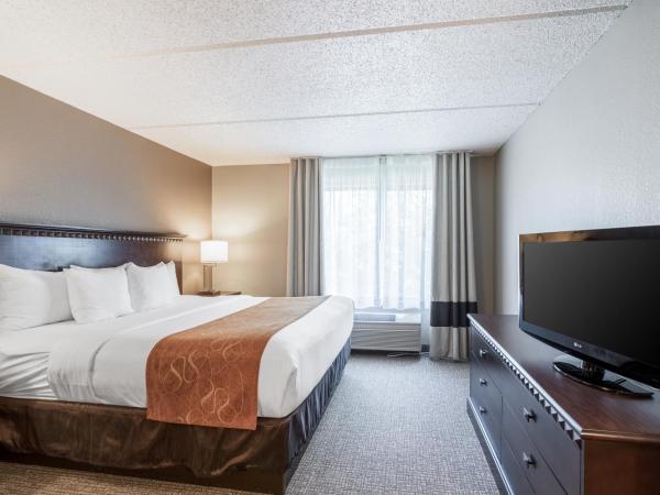 Comfort Suites Austin Airport : photo 10 de la chambre suite lit king-size