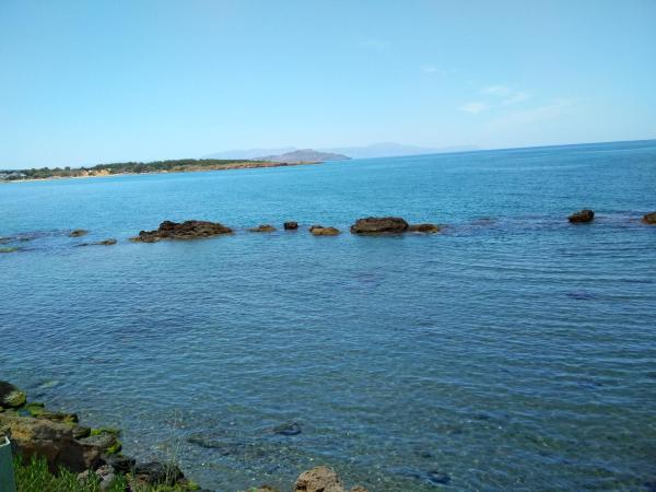 Beloni Apartments and Studios : photo 5 de la chambre chambre double ou lits jumeaux - vue sur jardin