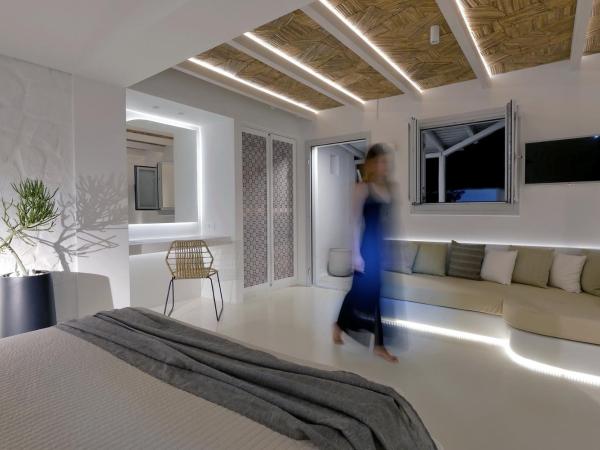 Andronikos Hotel : photo 8 de la chambre superior room / garden view