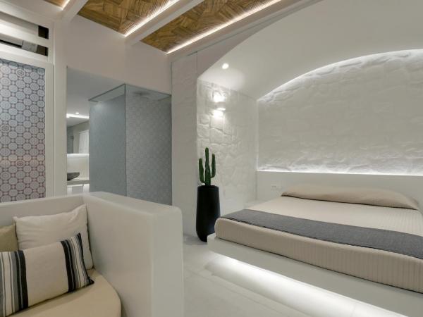 Andronikos Hotel : photo 1 de la chambre superior room / garden view