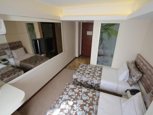 Grand Washington Hotel : photo 8 de la chambre chambre double ou lits jumeaux standard