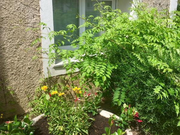 L'Isula Rossa : photo 2 de la chambre chambre triple Économique entre rez-de-jardin et sous-sol