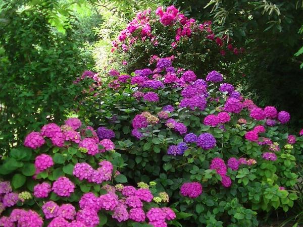 Le Petit Manoir de Kériolet : photo 6 de la chambre chambre double standard - vue sur parc