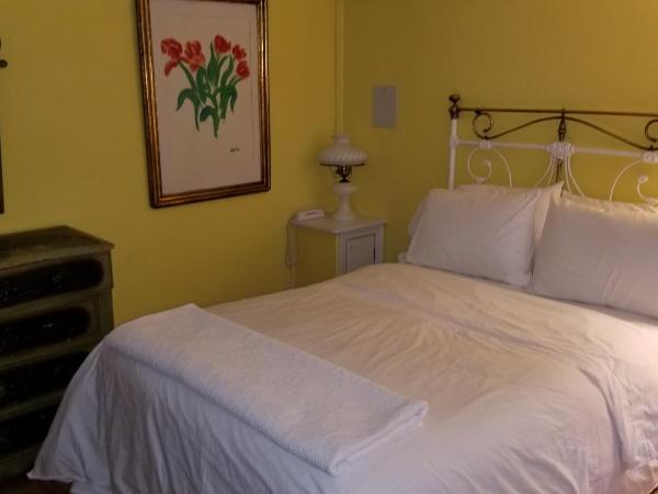 Incentra Village Hotel : photo 6 de la chambre studio jardin avec grand lit et kitchenette