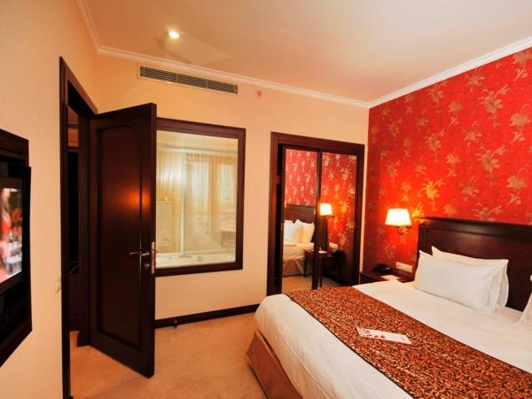 Hotel Monec : photo 9 de la chambre suite junior