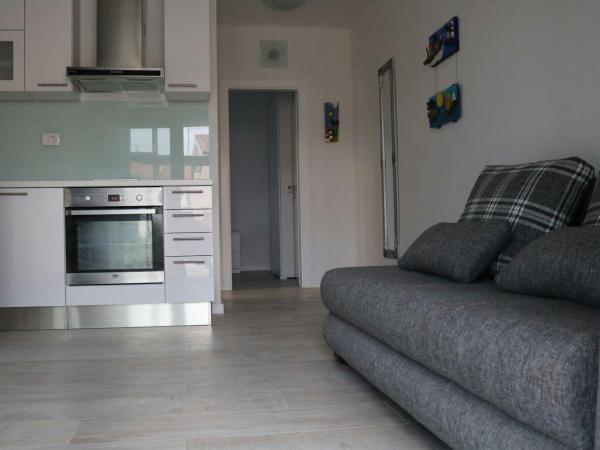 Villa Perla Dalmatica : photo 2 de la chambre apartment with terrace and garden view