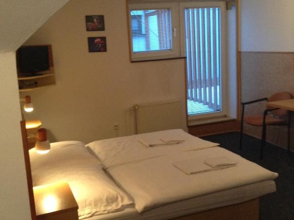 Penzion Globus : photo 1 de la chambre chambre double ou lits jumeaux