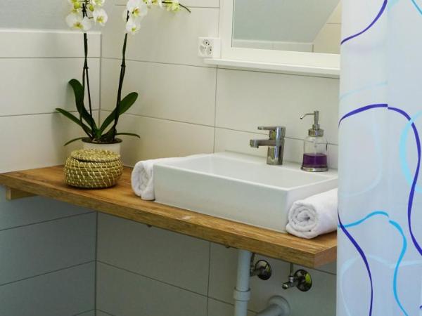 Adventure Hostel Interlaken : photo 7 de la chambre chambre double – vue sur montagnes