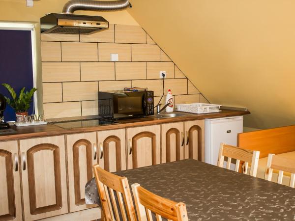 Nexus Vendégház Szeged : photo 3 de la chambre studio - mansardé