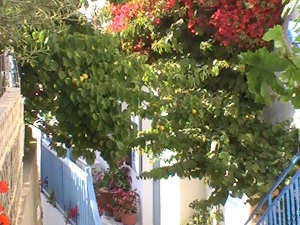 Panorama Hotel : photo 9 de la chambre chambre double