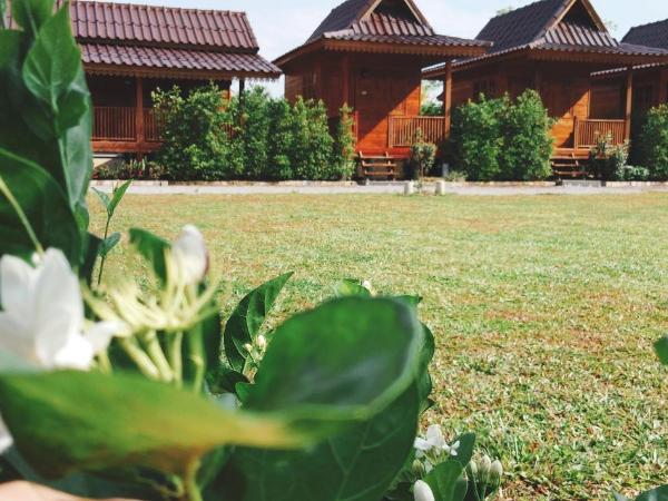 Imsuk Homestay at Chiang Rai : photo 4 de la chambre bungalow standard