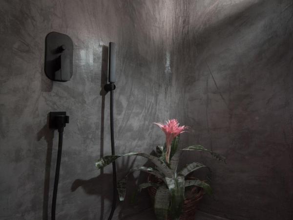 Sophia Boutique Hotel : photo 10 de la chambre suite avec bassin profond