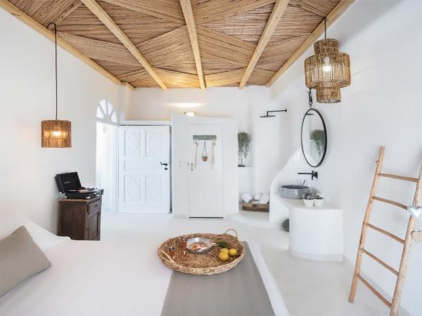 Sophia Boutique Hotel : photo 8 de la chambre chambre double supérieure avec bassin profond