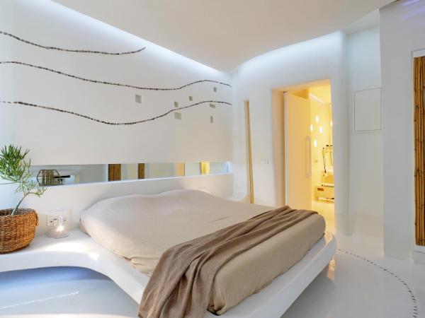 Andronikos Hotel : photo 6 de la chambre chambre double cocon - vue sur jardin