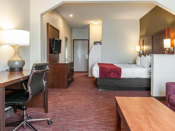 Comfort Suites : photo 4 de la chambre suite lit king-size avec canapé-lit - non-fumeurs