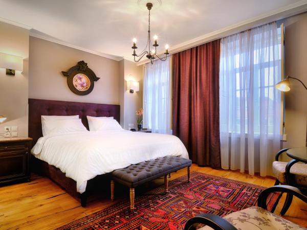 Hotel Antique : photo 4 de la chambre chambre deluxe double ou lits jumeaux