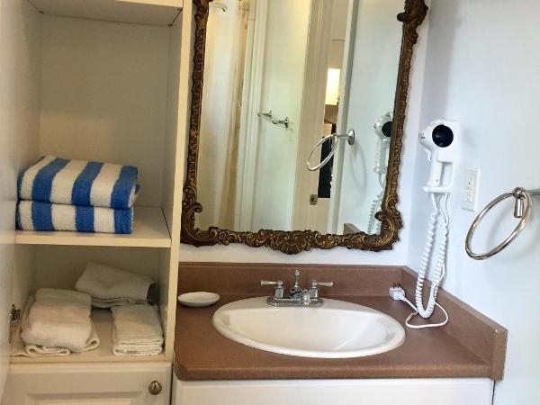 Ellis House Bed & Breakfast : photo 7 de la chambre appartement exécutif