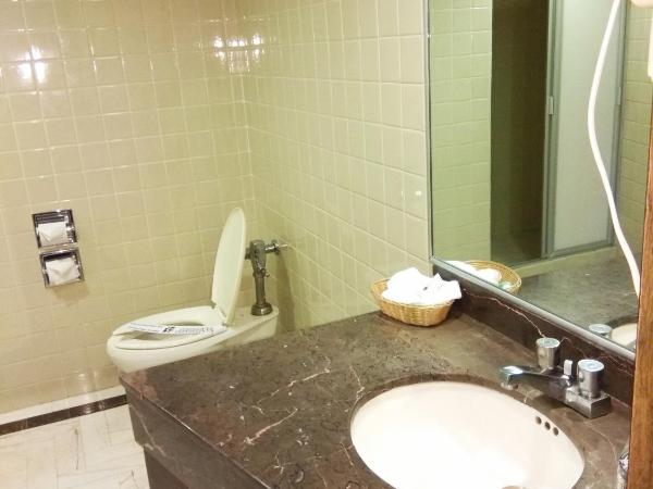 Segovia Regency : photo 4 de la chambre chambre standard