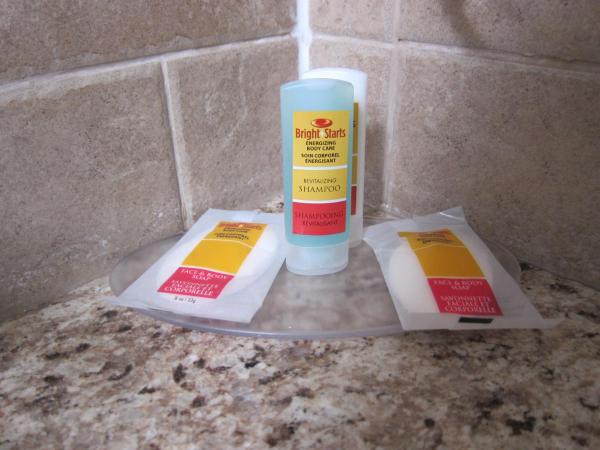 Econo Lodge Downtown : photo 2 de la chambre chambre double standard - non-fumeurs