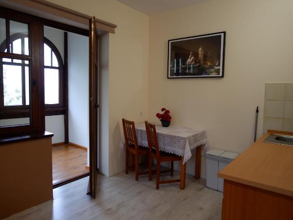 Rezydencja Na Skrócie : photo 10 de la chambre appartement