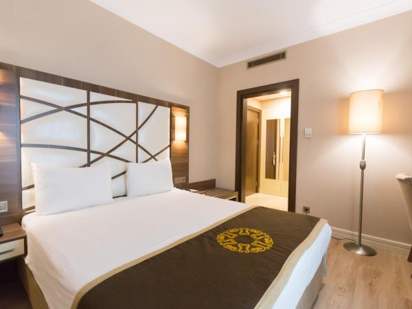 The Grand Mira Business Hotel : photo 2 de la chambre chambre double standard