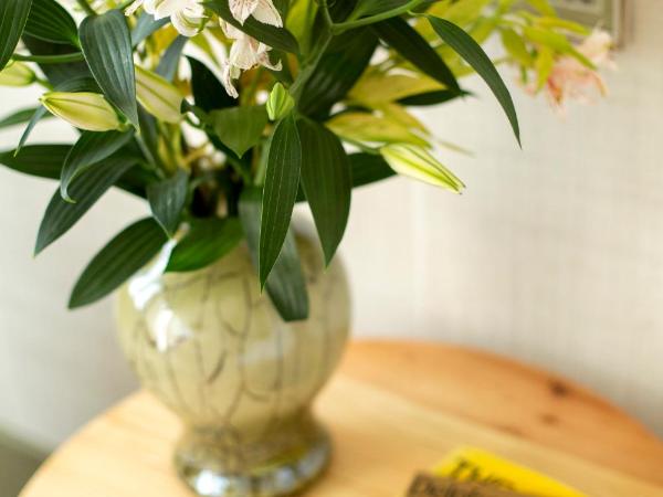 The Frogs_Guest House : photo 6 de la chambre chambre triple deluxe