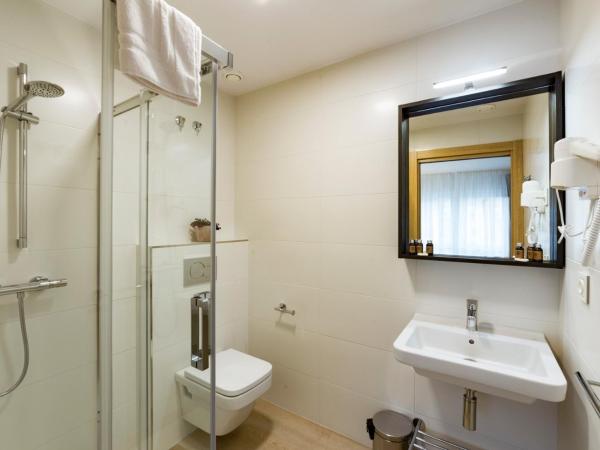 Atotxa Rooms : photo 1 de la chambre chambre double ou lits jumeaux supérieure avec vue sur ville