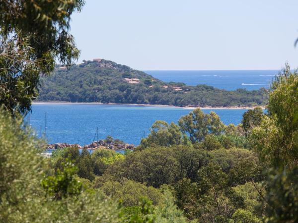 Royal Palm : photo 1 de la chambre appartement 1 chambre - vue sur mer