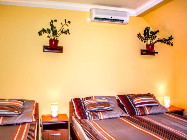 Nexus Vendégház Szeged : photo 1 de la chambre appartement 1 chambre