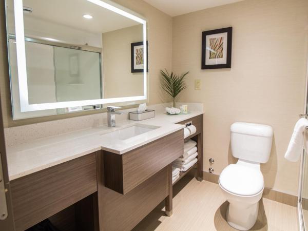 Victoria Inn Hotel and Convention Center Winnipeg : photo 10 de la chambre chambre premier 2 lits queen-size