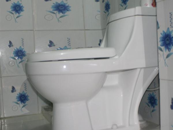 Le Rhododendron Chambres D'hotes : photo 4 de la chambre chambre deluxe double ou lits jumeaux