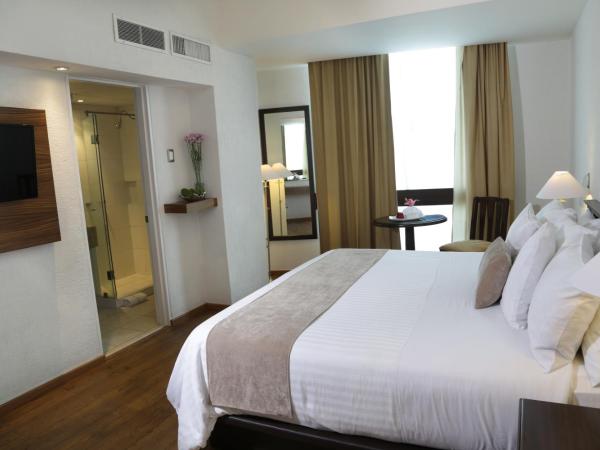 Mesón Ejecutivo Guadalajara Minerva - Av México : photo 7 de la chambre chambre lit king-size supérieure