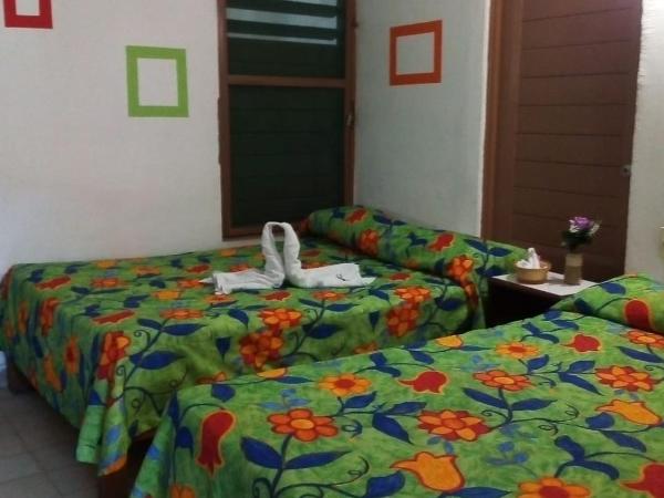 Hotel El Kiosco : photo 5 de la chambre studio standard