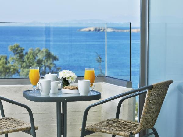 Amarilia Hotel : photo 3 de la chambre chambre double ou lits jumeaux supérieure - vue sur mer