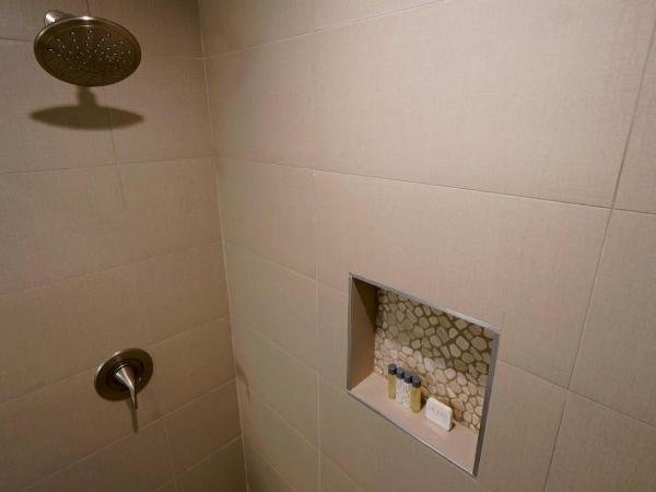 El Royale Gardens Near Universal Studios : photo 7 de la chambre chambre lit king-size deluxe