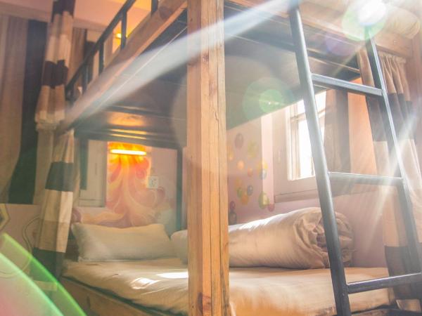 Wander Thirst : photo 7 de la chambre lit dans dortoir mixte de 4 lits