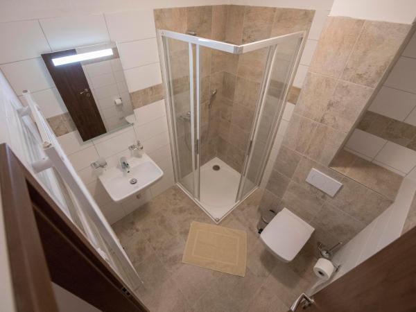 Penzion Patron : photo 2 de la chambre chambre double standard