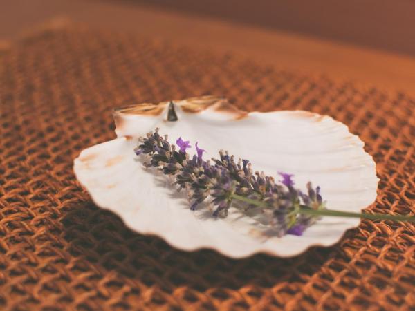 Villa Confort Exclusive : photo 8 de la chambre appartement 1 chambre - annexe