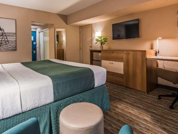 Best Western Plus Atlantic Beach Resort : photo 2 de la chambre chambre lit king-size - non-fumeurs